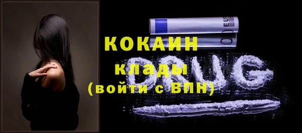 PSILOCYBIN Аркадак