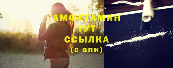 PSILOCYBIN Аркадак