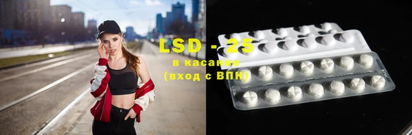 PSILOCYBIN Аркадак