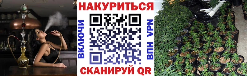 МАРИХУАНА планчик Купить Горячий Ключ